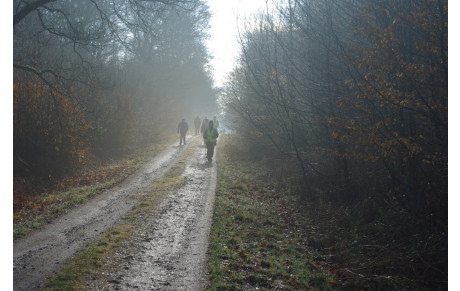 Photos de la randonnée en Forêt de Crécy 15-02-2015